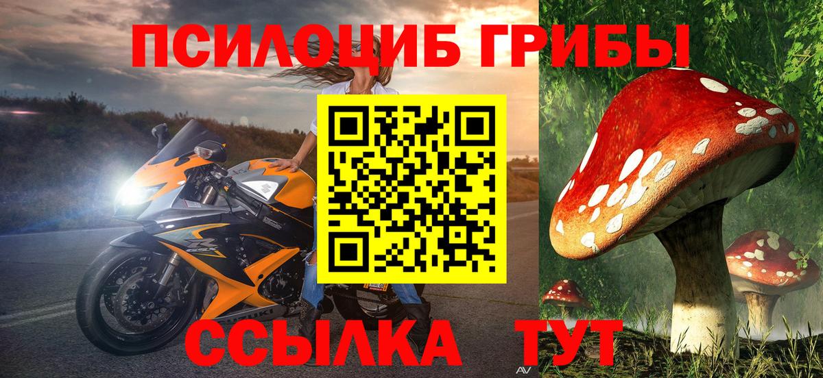 Псилоцибиновые грибы Psilocybine cubensis  Псилоцибиновые грибы ЛСД  Вход с VPN  Ростов Великий 